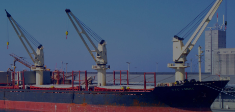 Chartering for break bulk
